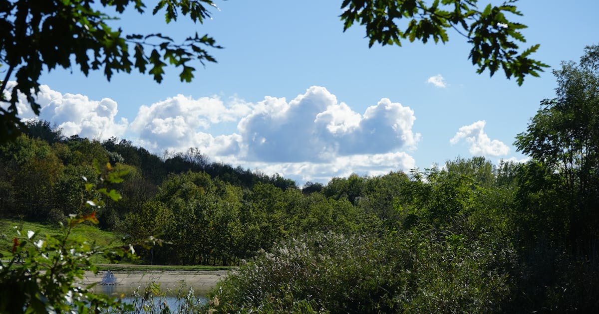 Amazon's AI Is Now Writing Your Competitor's Listings. Yours Still Say 'High Quality Premium.'