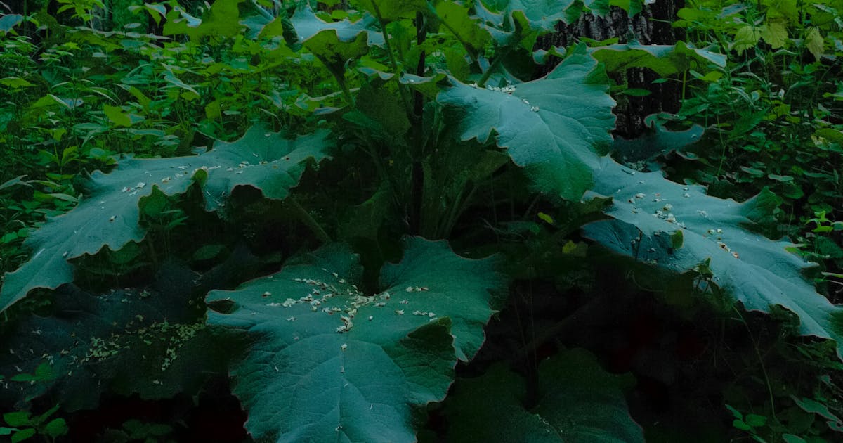 The Beginner's Guide to Multichannel Selling (Without Losing Your Mind or Your Inventory).